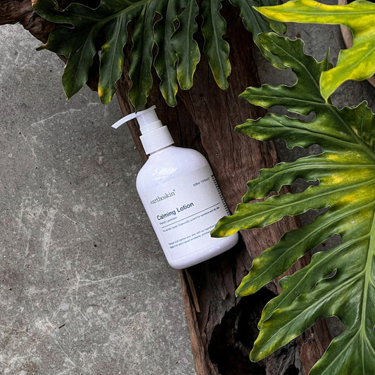 French Lavender Calming Lotion